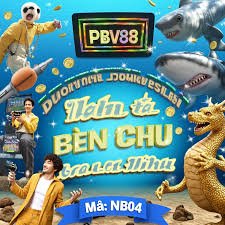 bed 399 লাইভ স্পোর্টস প্রস্তুতির ধাপ